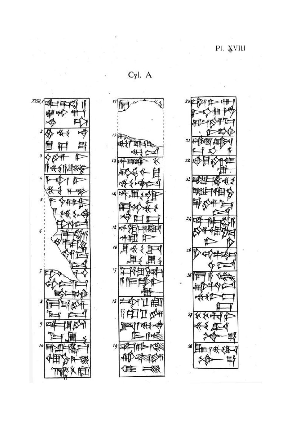 Page Background