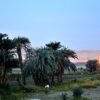villa_medinet_habu_4