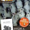 Anfore-di-pantelleria