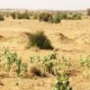 SUDAN
