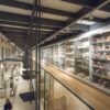 Museo-Egizio_Gallerie-Cultura-Materiale