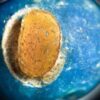 Unelaborata-perla-di-vetro-con-ambra-inclusa-trovata-nella-tomba-danese-di-3400-anni-fa-proveniente-dallantico-Egitto.-Credit-Roberto-Fortuna-and-Kira-Ursem-300×169-1