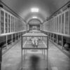 antiquarium-1