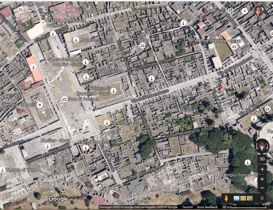 da Google Earts il Foro di Pompei e gli edifici municipali