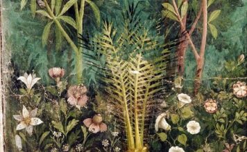 Festa della rosa e la valorizzazione del territorio vesuviano