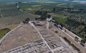 Tra storia e natura: alla scoperta del sito di Canne della Battaglia