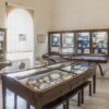 Museo Sala Di Paleontologia