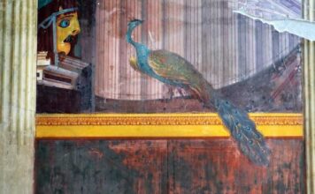 Con Campania by night al via i percorsi nella Villa di Poppea ad Oplontis