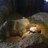 Diorama Donna Di Ostuni 2