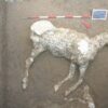 Cavallo
