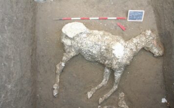 La Pompei delle meraviglie. Nuovi scavi, ricerche e la realizzazione del calco di un cavallo a Civita Giuliana