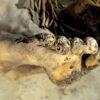 Dettaglio Della Mummia Predinastica Del Museo Egizio Di Torino (ph. Paolo Bondielli)