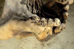 Datazione zucchero siti mummia