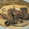 Fred, La Mummia Predinastica Del Museo Egizio Di Torino (ph. Tiziana Giuliani)