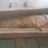 La Mummia Scoperta Nel Sarcofago Del Periodo Tardo Ad Assuan (ph. MoA)