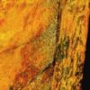 Dettaglio Del Braccio Della Mummia Tatuata Di Deir El Medina (Ph. Nature.com)