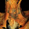 Dettaglio Del Collo Della Mummia Tatuata Di Deir El Medina (Ph. Nature.com)