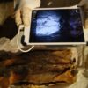 Evidenze Di Tatuaggi Emerse Durante Le Indagini (Ph. Nature.com)