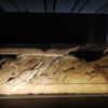 Museo di Troia (ph. Troy Museum Official Page)