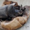 Uno Dei Due Grandi Scarabei Mummificati (ph. Mohamed Abd El Ghany Reuters)