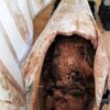 Il Sarcofago Nel Deposito Del Museo Di Kom Oshim, Nel Fayum (ph. Luxor Times)