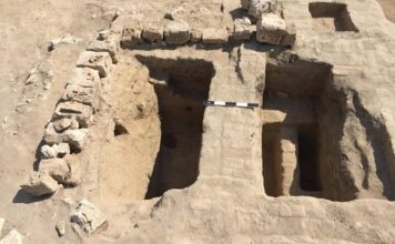 Nel Delta del Nilo riaffiora un’azienda vinicola di 2000 anni fa