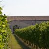 Bardolino Winery