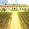 Cantina Guerrieri Rizzardi