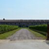Entrata Cantina Guerrieri Rizzardi Bardolino