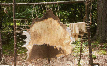 La concia delle pelli