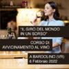 banner-corso-bardolino