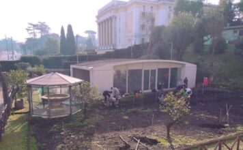 Un vigneto etrusco al Museo Villa Giulia di Roma.