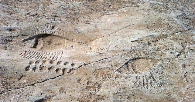 I misteriosi petroglifi di Al-Jassasiya. Credits to Qatar Museums