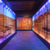 Allestimento della mostra Ramsès et l’or des pharaons