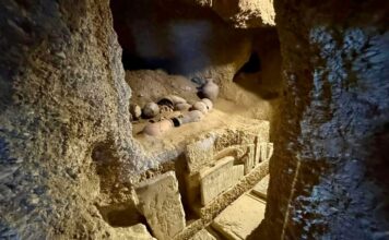 Dalle sabbie di Deir el-Bahari riaffiorano il Tempio a Valle di Hatshepsut, la tomba del sovrintendente di Palazzo della regina Tetisheri e tanto altro