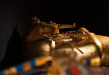 Tutankhamon a Bologna: repliche del tesoro del faraone in mostra Copia della maschera di Tutankhamon. Ph. Mostra Tutankhamon Bologna ©Carlo Marrazzo
